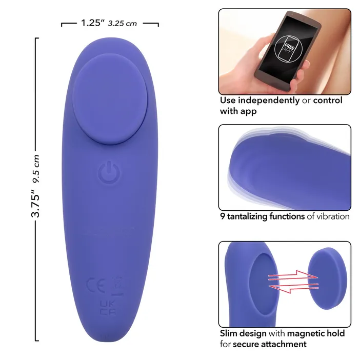 Female Sex Toys CalExotics Connect App Controlled Panty Teaser