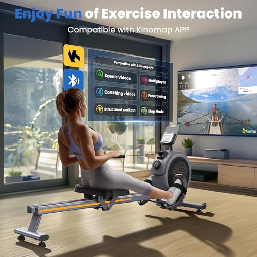 Compact Rowing Machine with 350LBS Loading Capacity N71934