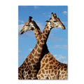 Canvas Art G988786