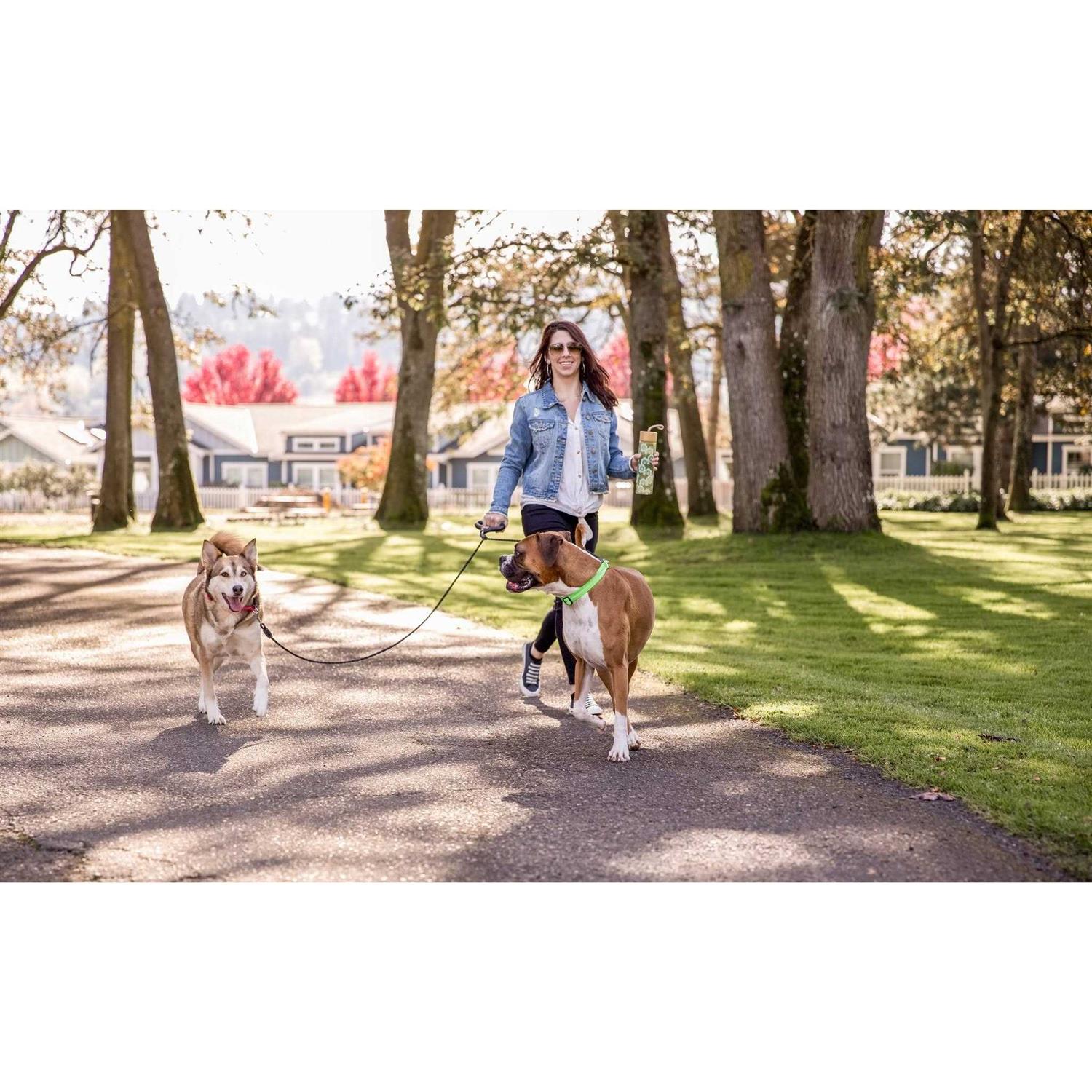 Dual Doggie Gel Rope Leash O226