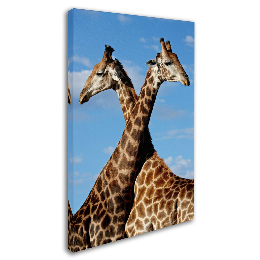 Canvas Art G988786