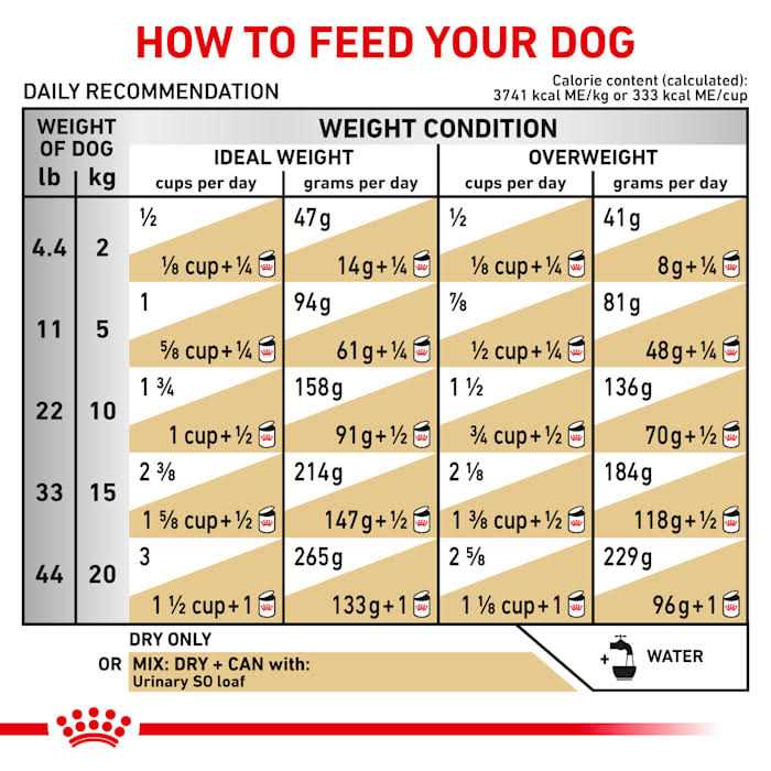 Veterinary Diet Canine Urinary So Dry Dog Food S862396