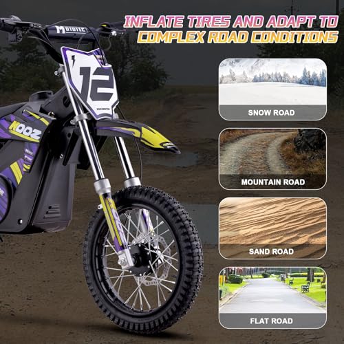 Purple Electric Dirt Bike T268639