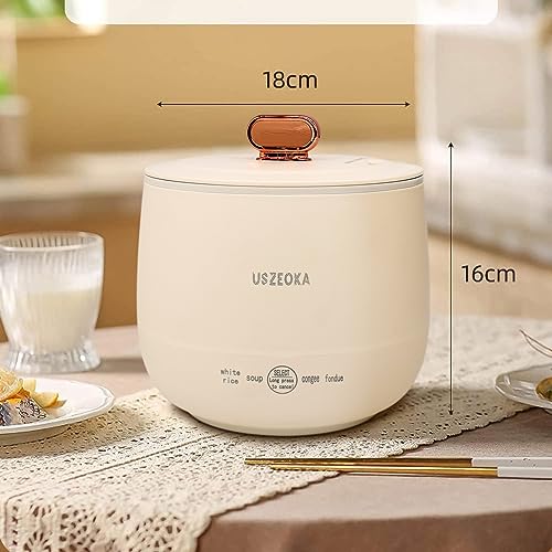 Blue Mini Stainless Steel Rice Cooker K3682