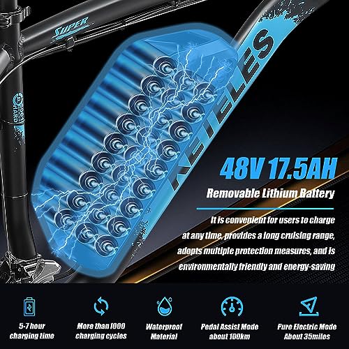 26" Fat Tire Electric Mountain Bike with 48V Removable Battery Z3361