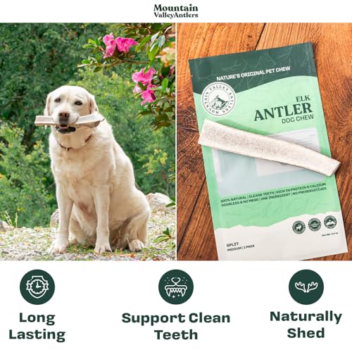 100% Natural Elk Antlers for Dogs - Whole Small (3 Pack) U900232