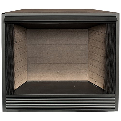 Dual Fuel Ventless Gas Firebox Insert with Mantle Q3089