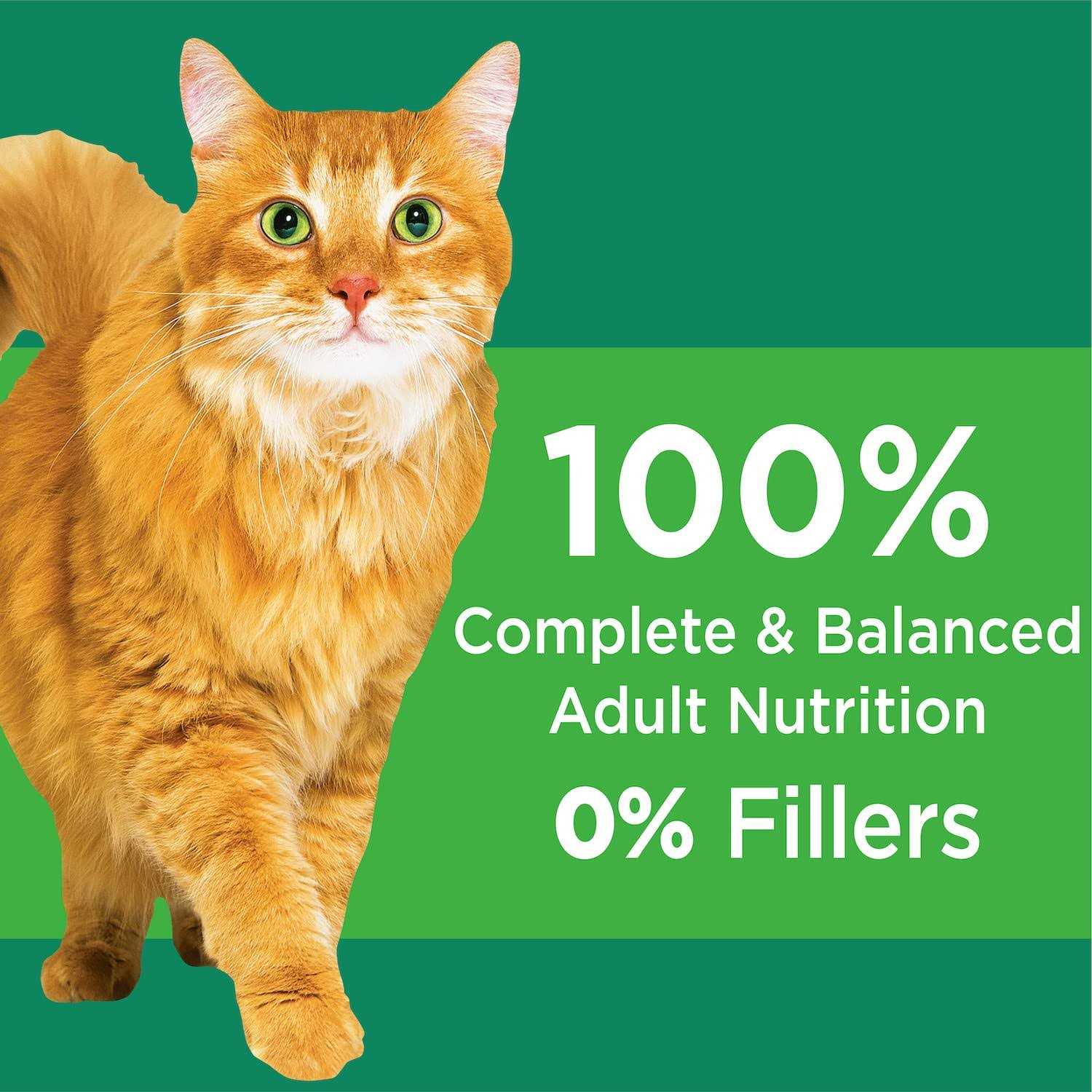 Senior Dry Cat Food R6157