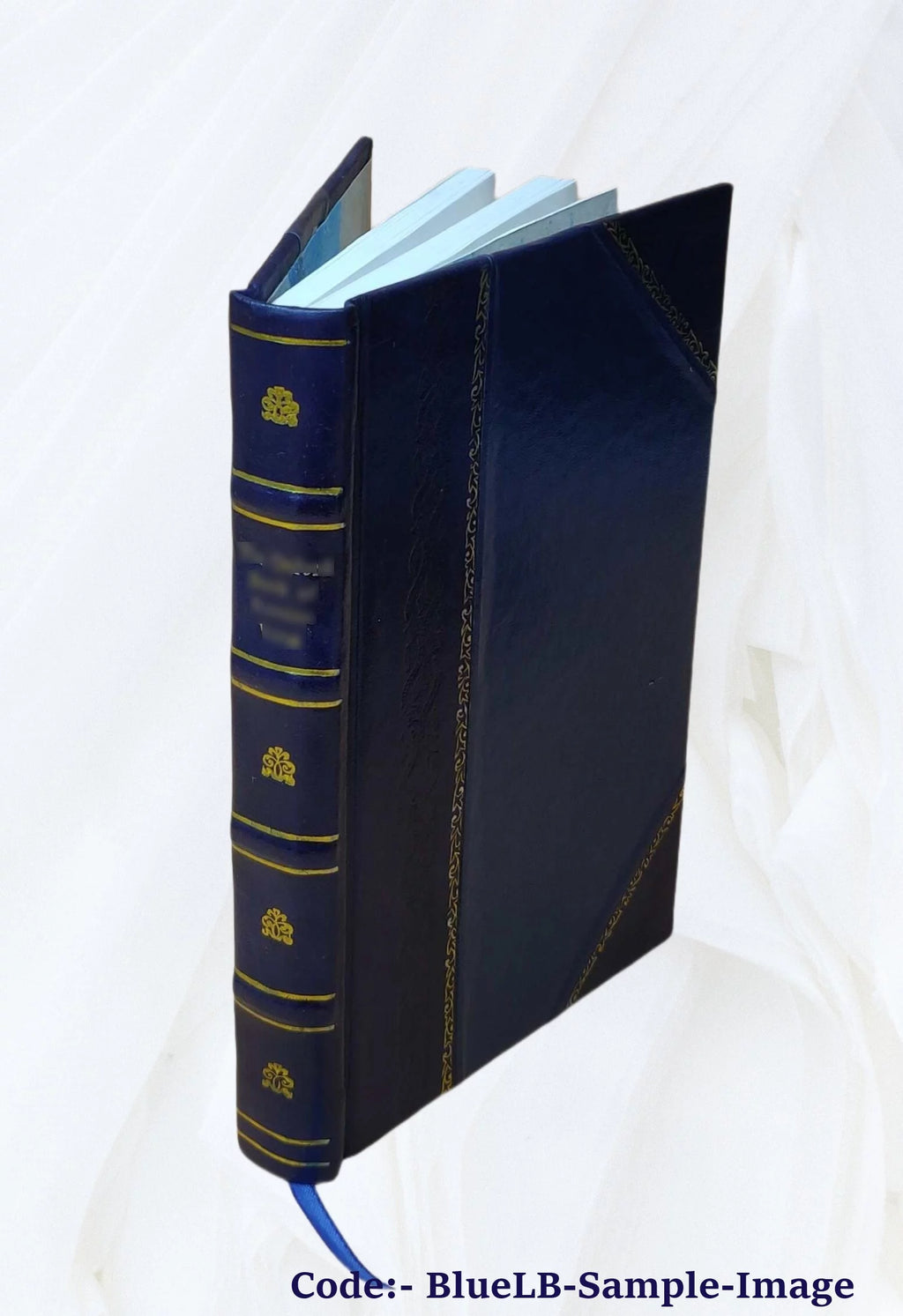 Leather Bound Book C811