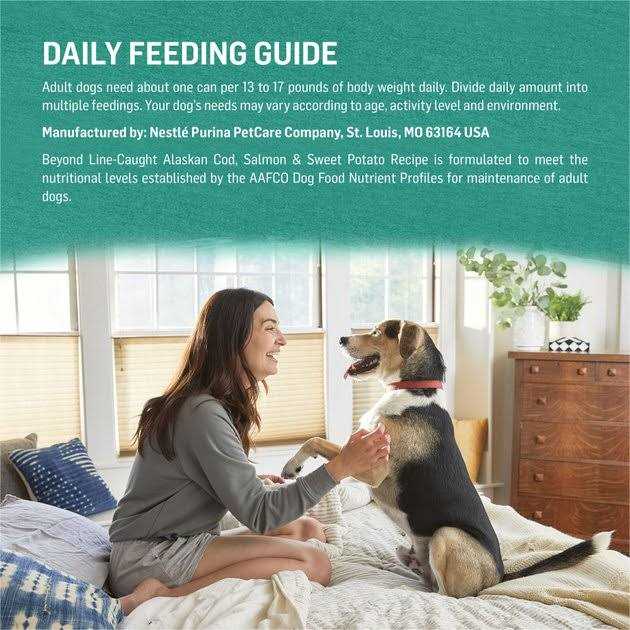 Grain-Free Canned Dog Food Z36922