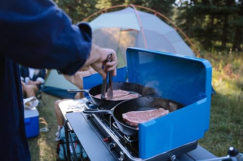 Portable 2-Burner Propane Camping Stove H549968