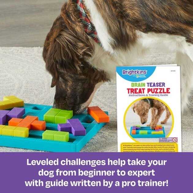 Brain Teaser Dog Treat Puzzle O49871