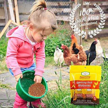 Fresh Mealworms Treats R55247