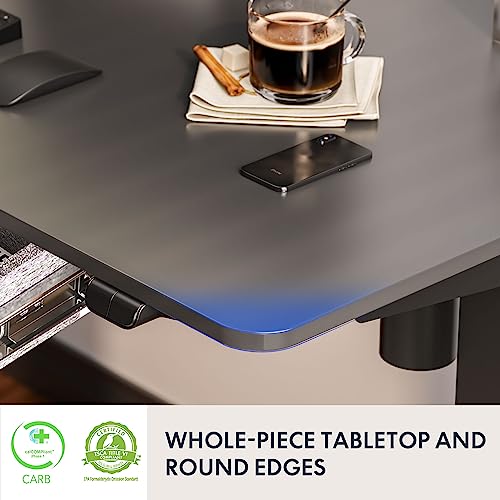 48 x 24 Inches Electric Standing Desk with Drawer D156