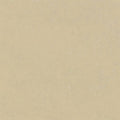 Concrete Mica B74306