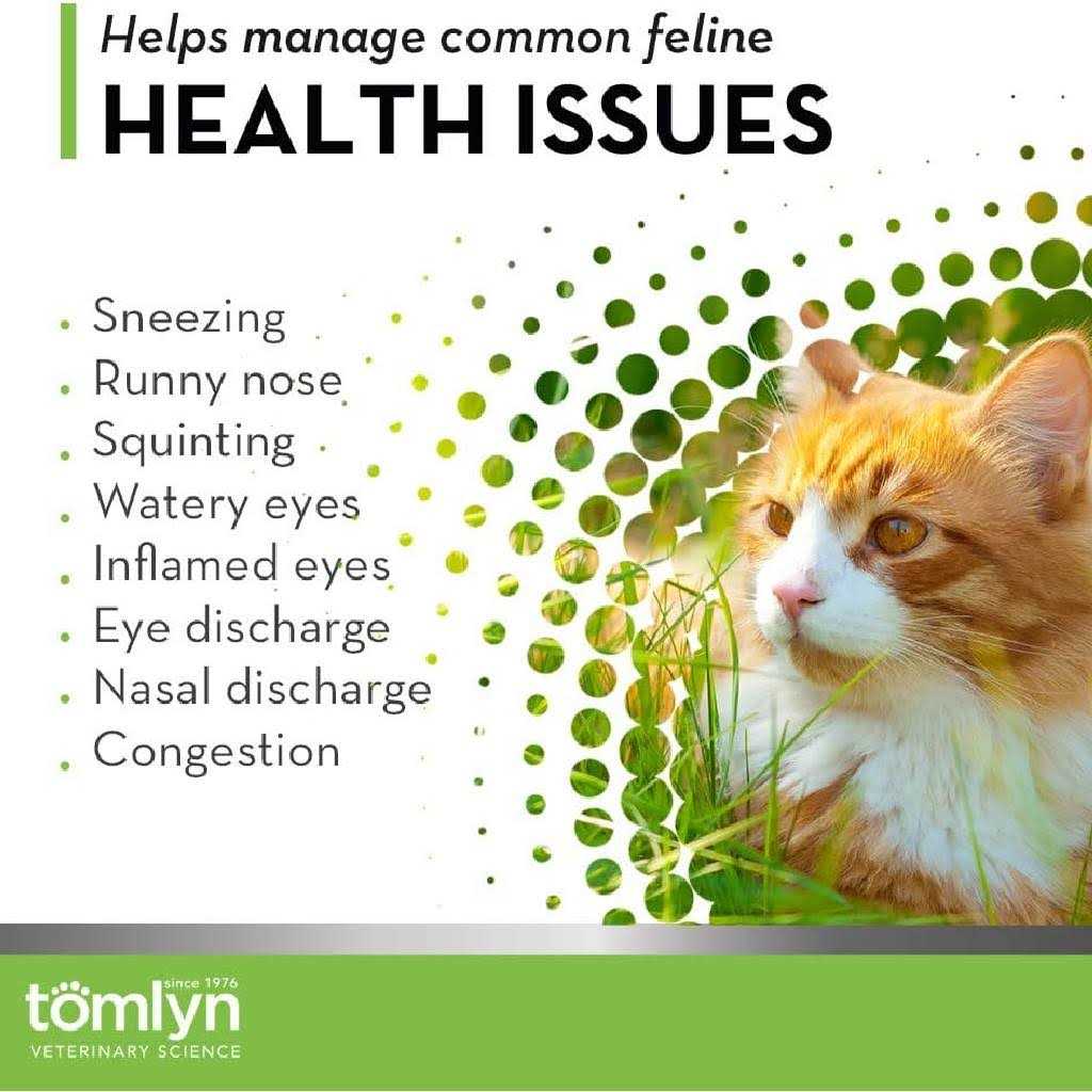 L-Lysine Immune Support Gel for Cats Q405