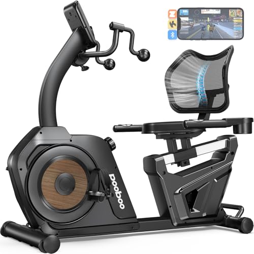 Recumbent Exercise Bike with Arm Exerciser B104735