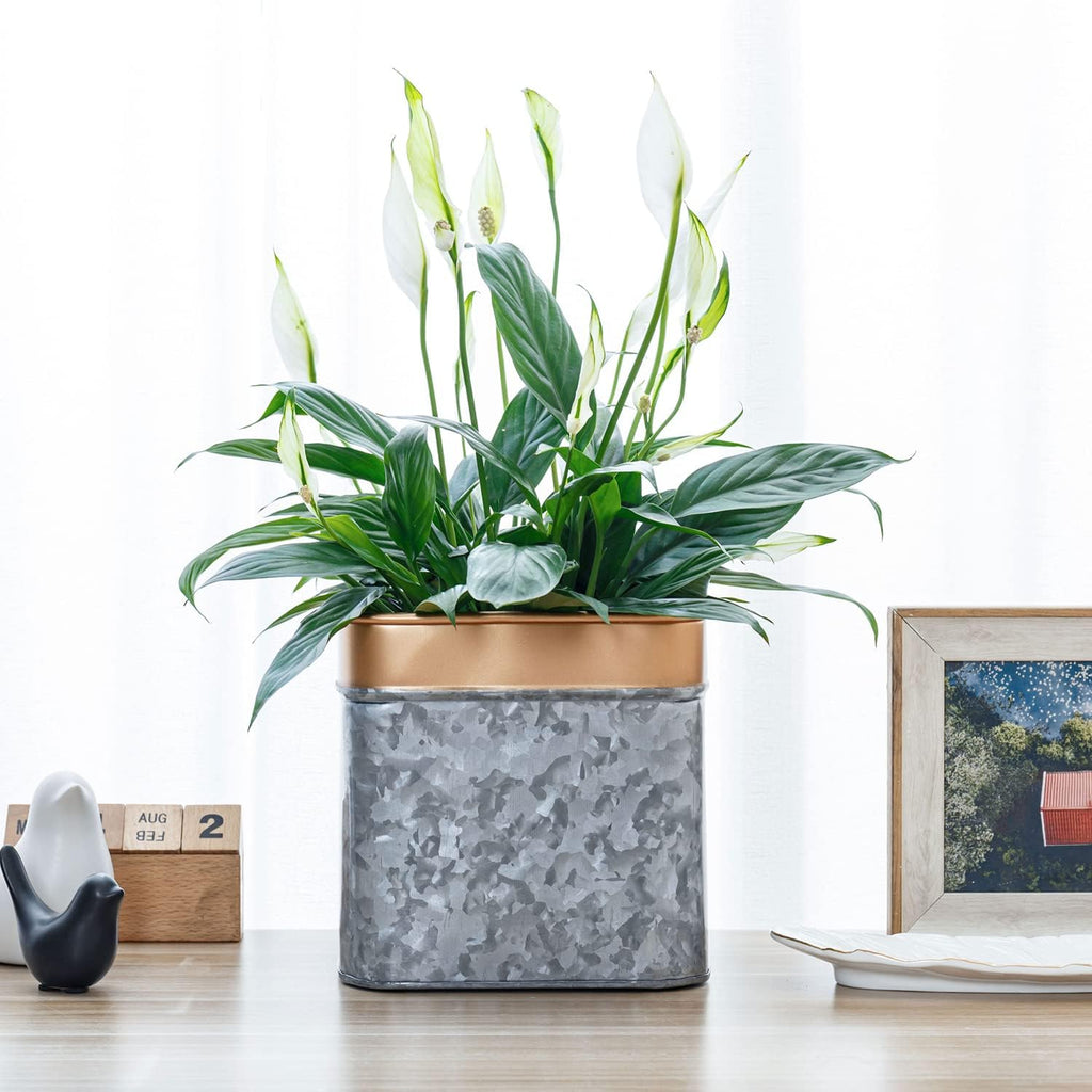 7 Inch Galvanized Metal Square Planter Pot with Rim B34845