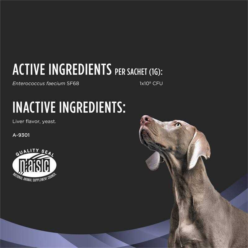 Dog Probiotic Supplement I536