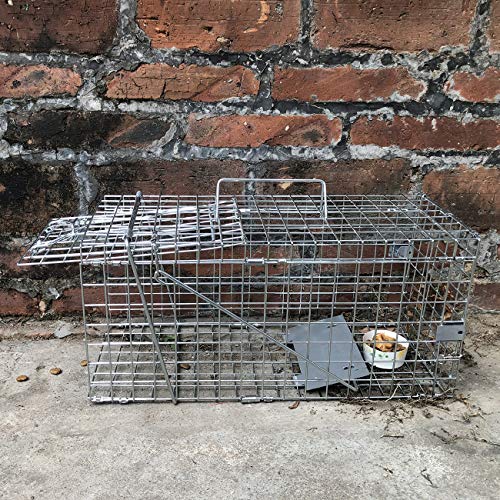 Heavy Duty Live Animal Trap I134