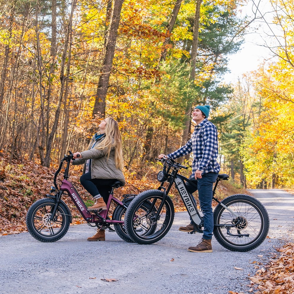 Electric Bike with 48V 14.4AH Removable Battery, 20" x 4.0 Fat Tire M146