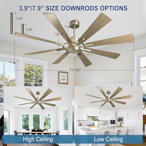 Large 60" Low Profile Indoor Ceiling Fan with Light and Remote Control, Black and Gold B68016