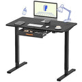 48 x 24 Inches Electric Standing Desk with Drawer D156