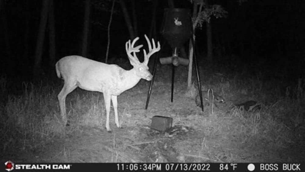 32MP 1080P Video Trail Camera with Security Box J904
