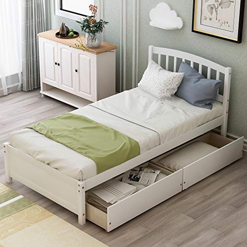 Twin Size Solid Wood Platform Bed with 2 Storage Drawers G506048