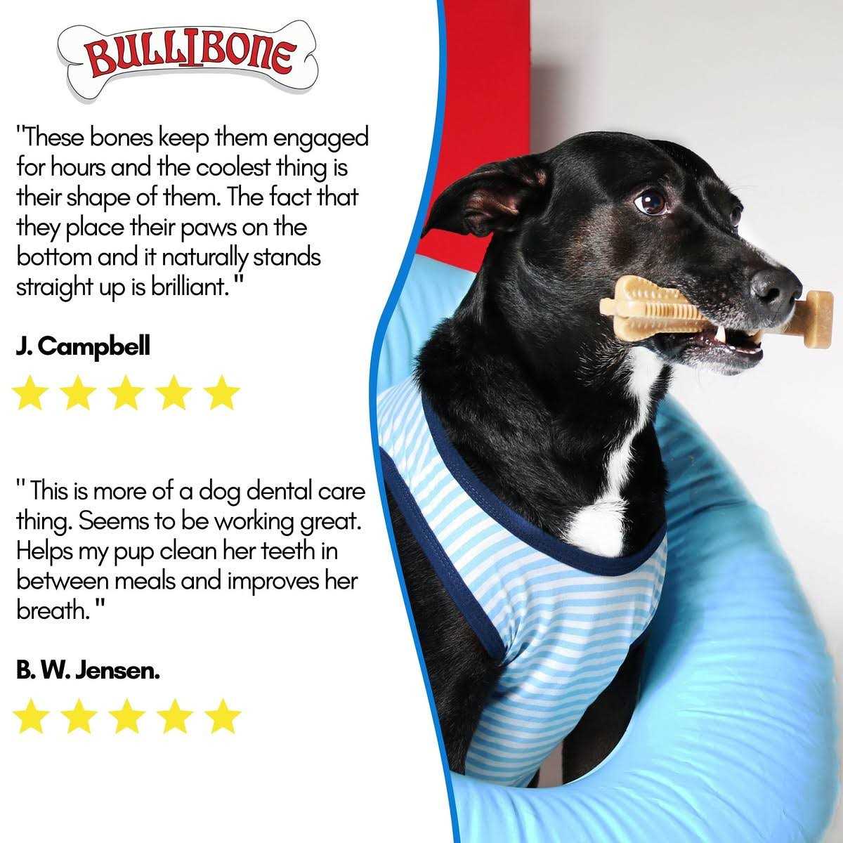 Long Lasting Nylon Dog Chew Toy Q69385