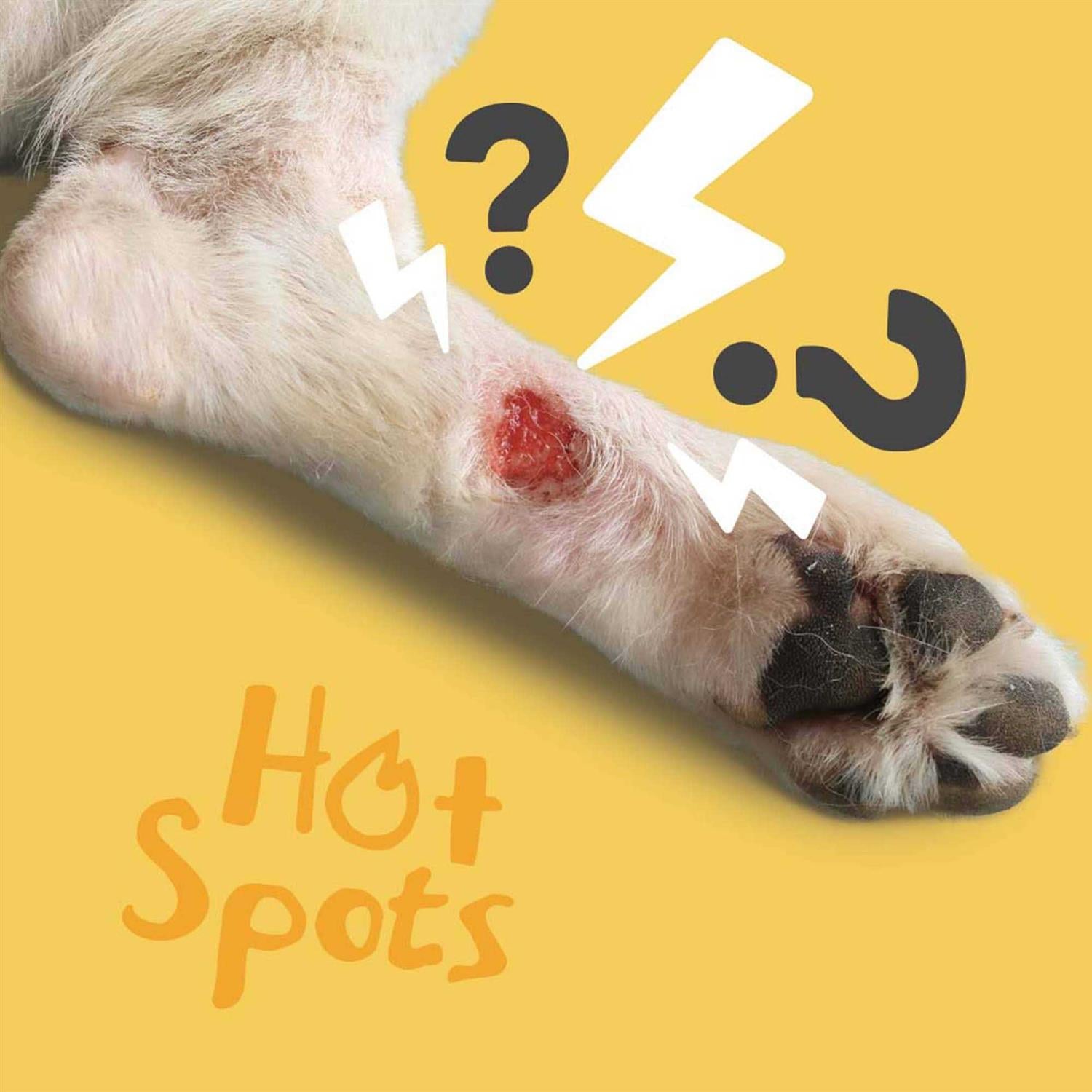 Hot Spot Wound Care Spray Gel V476