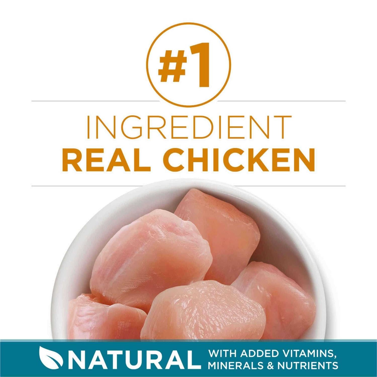 Dry Cat Food With Real Chicken Y93525