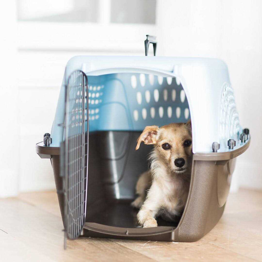 Door Top Load Kennel Y73322