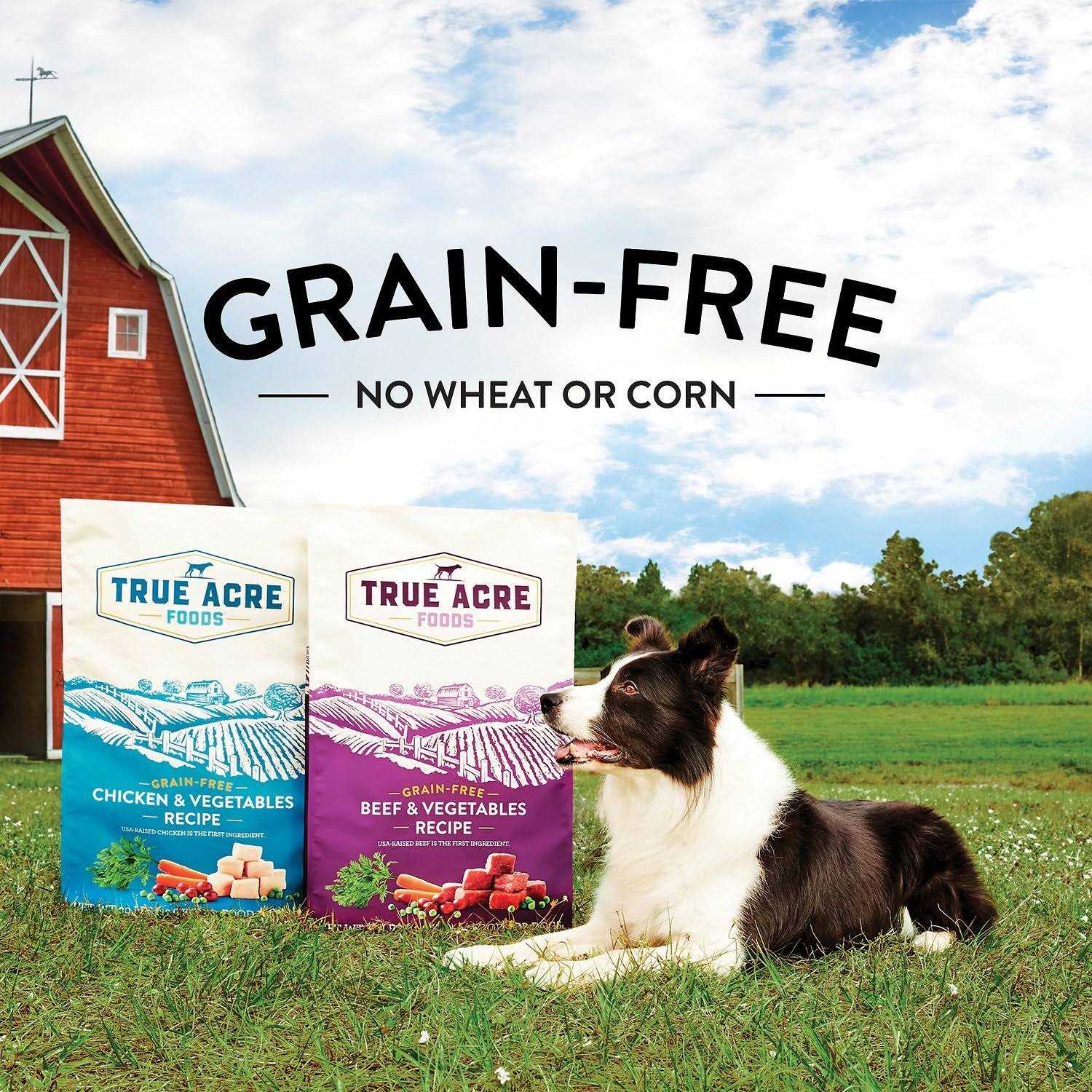 Grain-Free Beef & Vegetable Dry Dog Food D58784