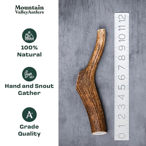 100% Natural Elk Antlers for Dogs - Whole Small (3 Pack) U900232
