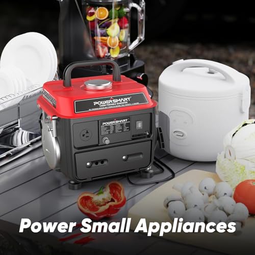 1500-Watt Gas Powered Portable Inverter Generator T1827