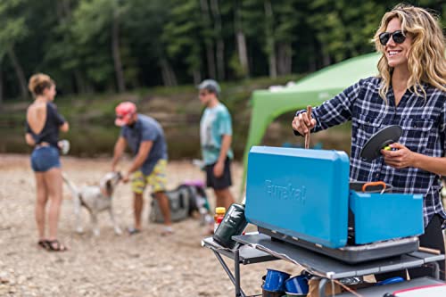 Portable 2-Burner Propane Camping Stove H549968