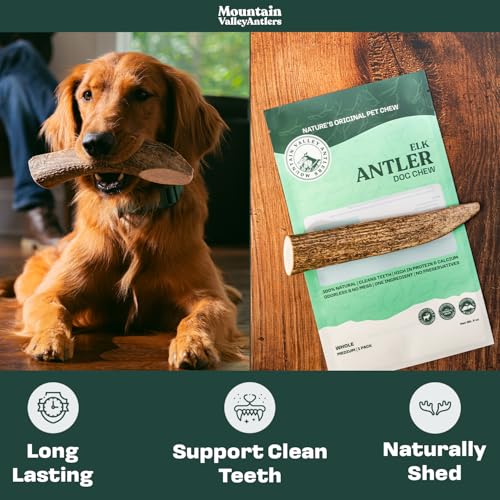 100% Natural Elk Antlers for Dogs - Whole Small (3 Pack) U900232