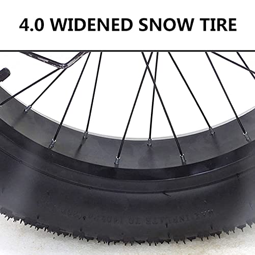 7 Speed 20 Inch Fat Tire Adult Tricycle with Shopping Basket H4561