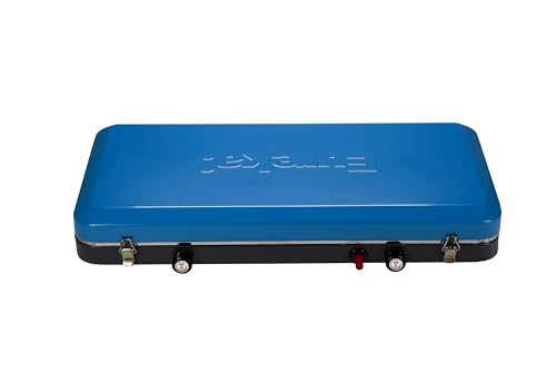 Portable 2-Burner Propane Camping Stove H549968