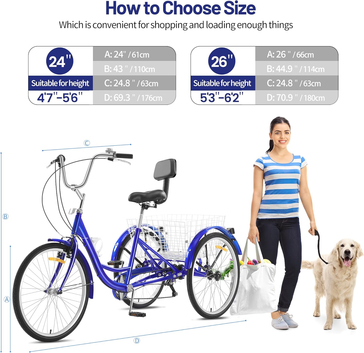 24 Inch 3 Wheel Tricycle with Rear Basket W522057