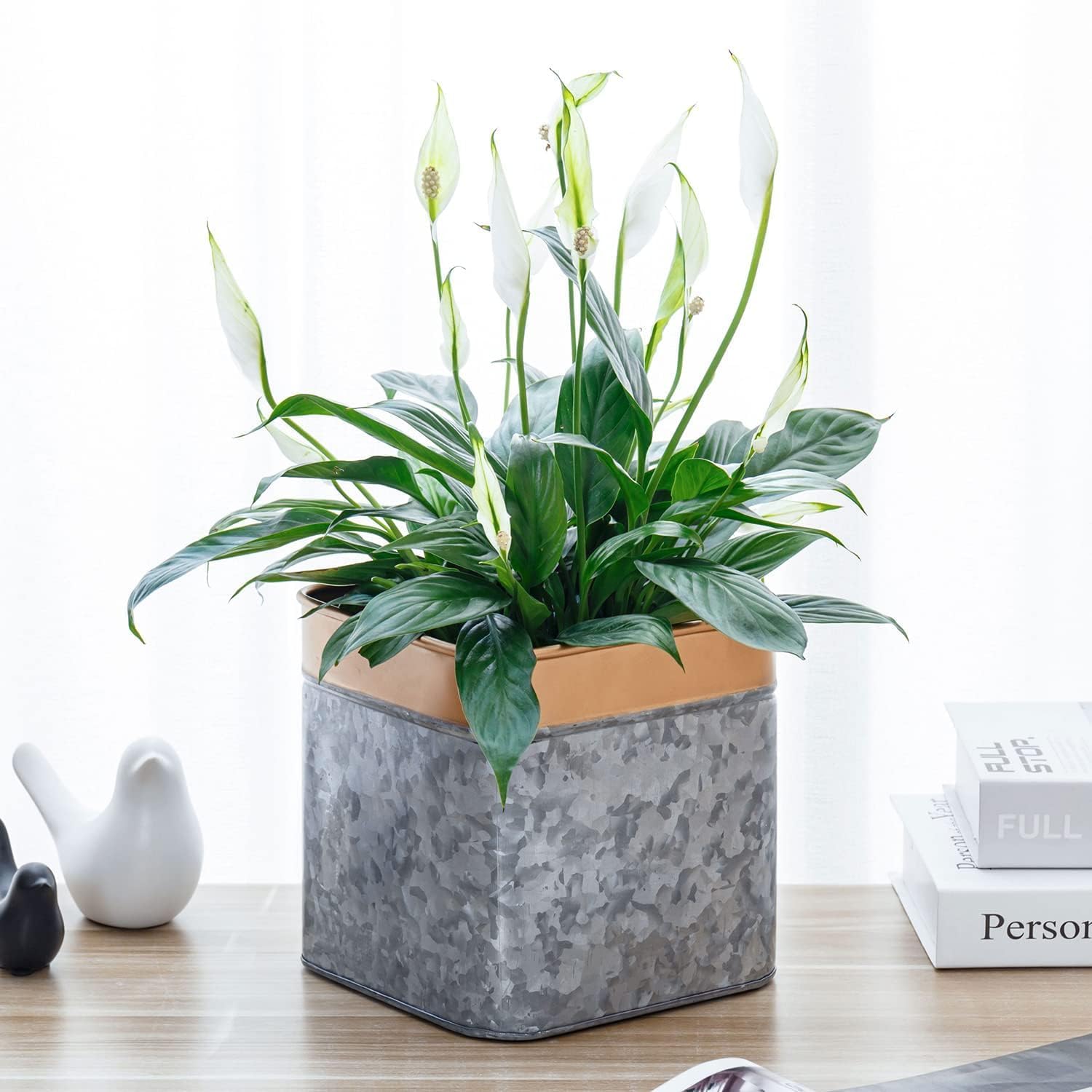7 Inch Galvanized Metal Square Planter Pot with Rim B34845