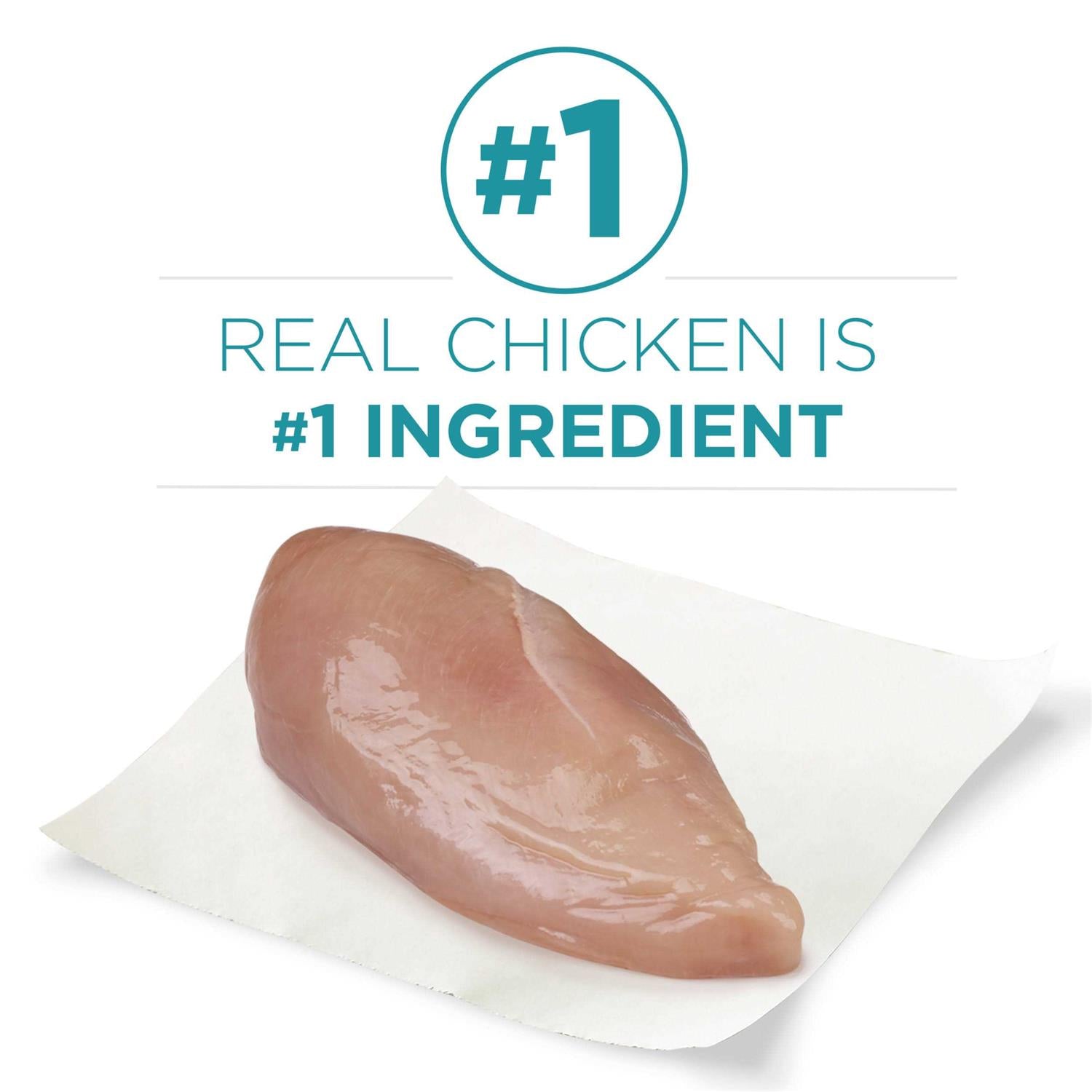 Dry Cat Food With Real Chicken Y93525
