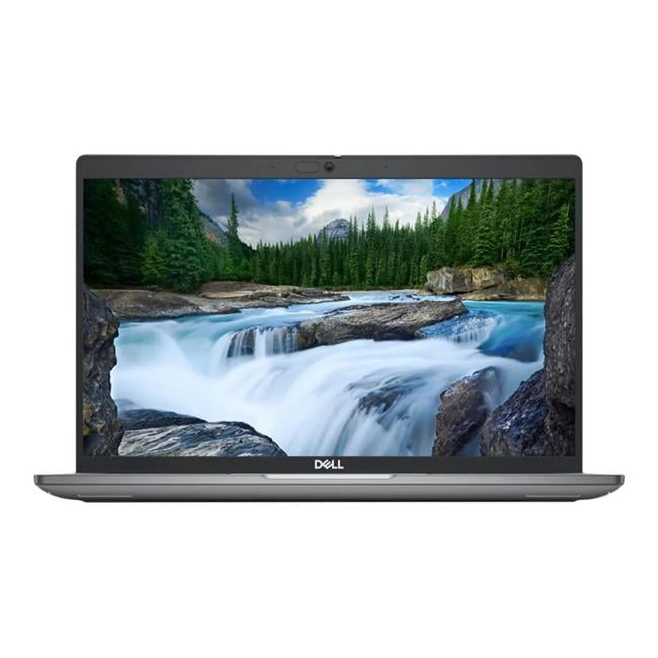 Gray 14 in. Laptop N480