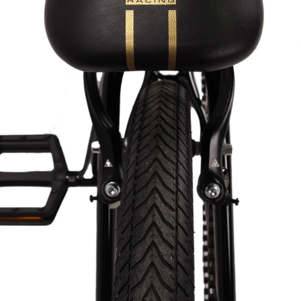 24 Cruiser Race Bike O43188