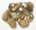 3 Bulb Colocasia Esculenta Elephant Ear Taro Bulbs B457823