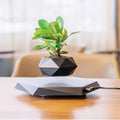 Floating Magnetic Levitating Flower Pot N282638