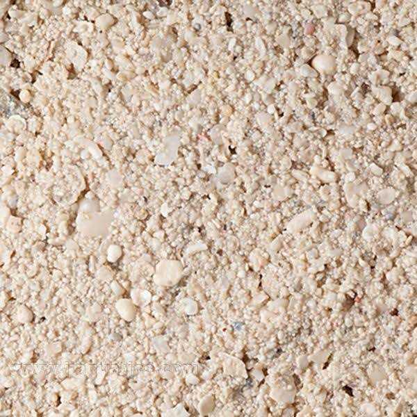 Caribbean Live Aquarium Sand O6383