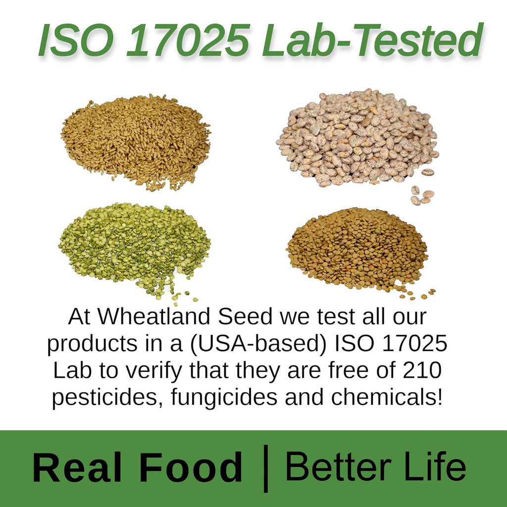 Soft White Wheat Berries 23 lbs T70495