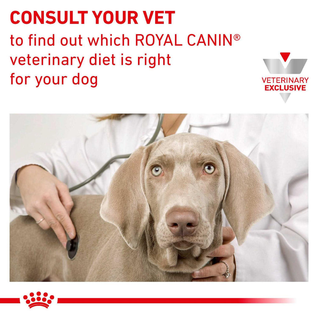 Veterinary Diet Canine Urinary So Dry Dog Food S862396